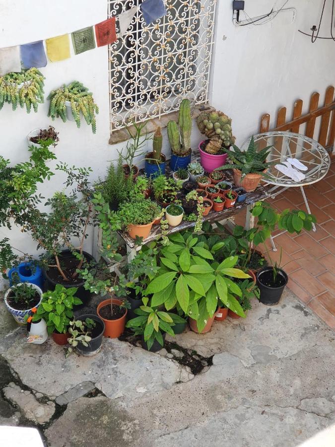 Casa Vera Vejer de la Frontera Esterno foto